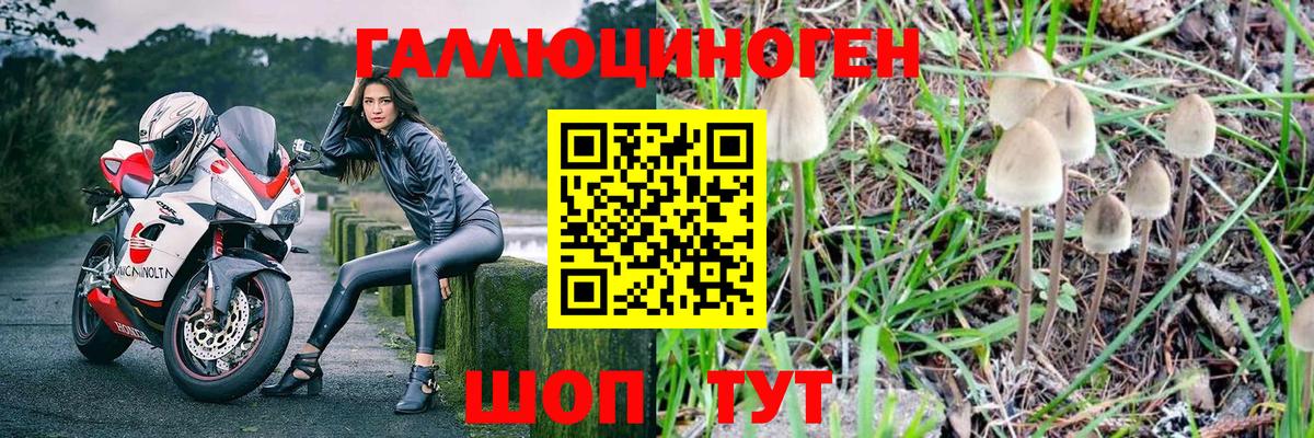 Галлюциногенные грибы мицелий Искитим